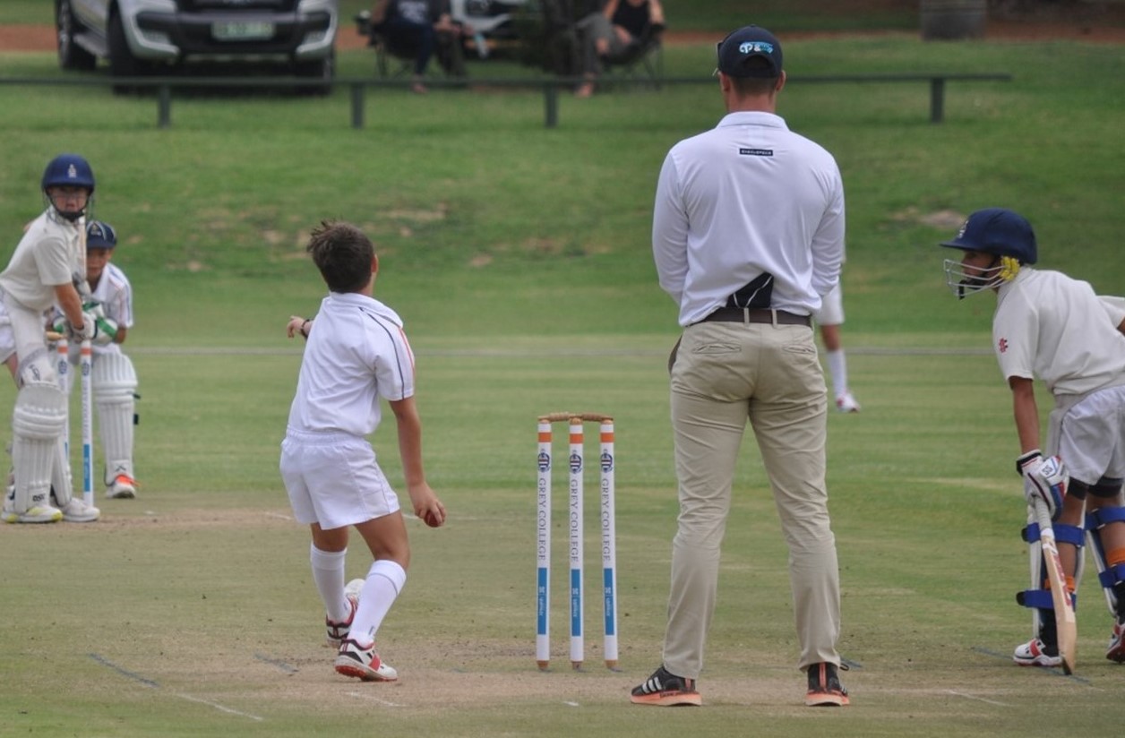 Cricket